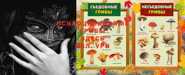 СК Зеленодольск