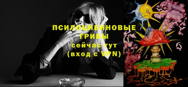 амф Зеленокумск